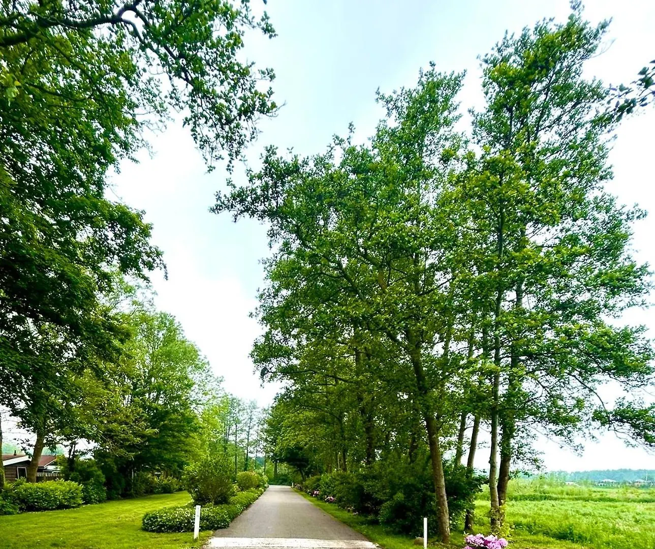 Cozy Family House With Spacious Garden In The Nature Near Amsterdam Vijfhuizen 0*,